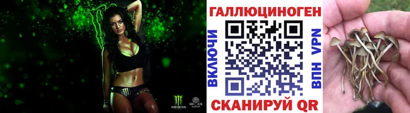 Галлюциногенные грибы мицелий  Купить  Хадыженск 